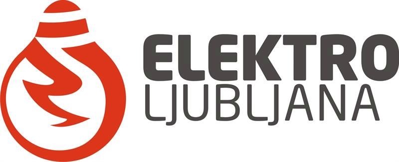 Elektro Ljubljana - članica GIZ DEE