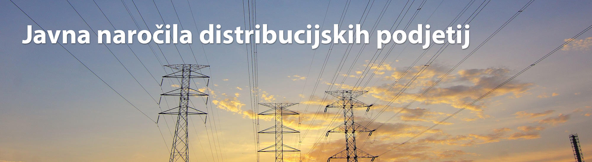 Strateška konferenca elektrodistribucije